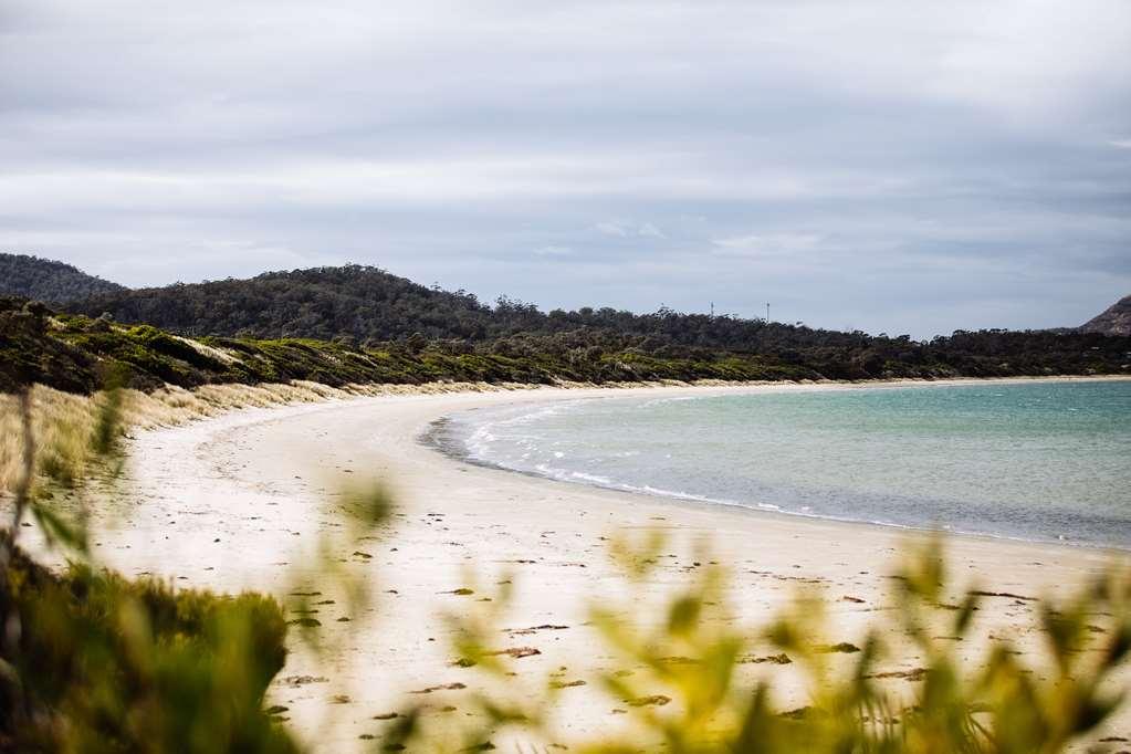 科尔斯湾 Saffire - Freycinet酒店 自然 照片
