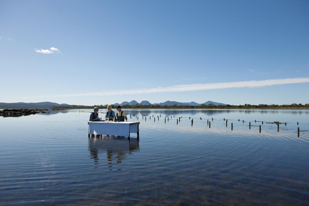 科尔斯湾 Saffire - Freycinet酒店 外观 照片